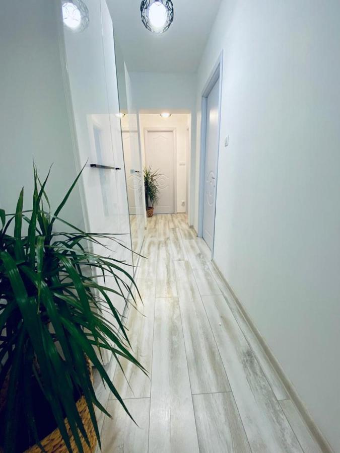 Central Palace Suites Iasi Extérieur photo